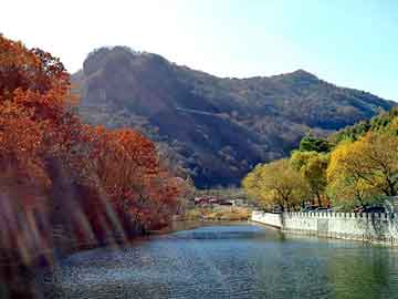 澳门期期准免费精准，潜水泵保护器